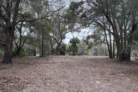 Terreno en venta en Citra, Florida № 1903377 - foto 20