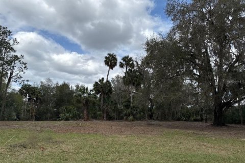 Terreno en venta en Citra, Florida № 1903377 - foto 6