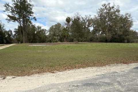 Terreno en venta en Citra, Florida № 1903377 - foto 2