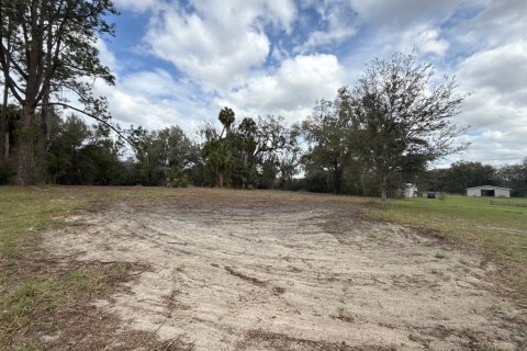 Terreno en venta en Citra, Florida № 1903377 - foto 9