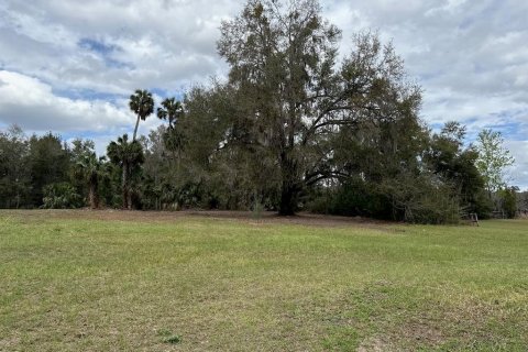 Terreno en venta en Citra, Florida № 1903377 - foto 1