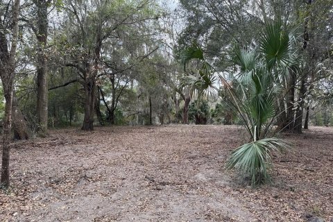 Terreno en venta en Citra, Florida № 1903377 - foto 18