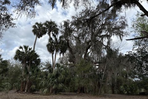 Terreno en venta en Citra, Florida № 1903377 - foto 22
