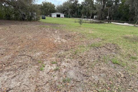 Terreno en venta en Citra, Florida № 1903377 - foto 3