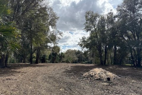 Terreno en venta en Citra, Florida № 1903377 - foto 16