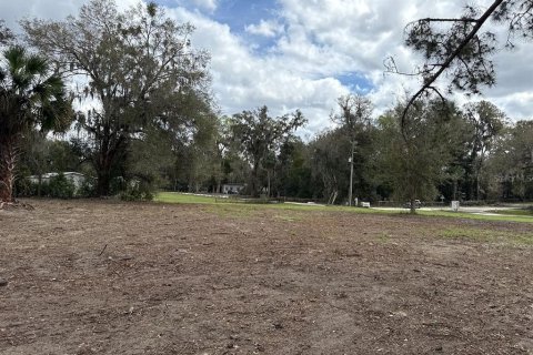 Terreno en venta en Citra, Florida № 1903377 - foto 12