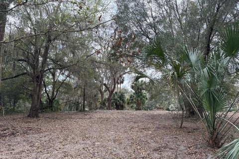 Terreno en venta en Citra, Florida № 1903377 - foto 19