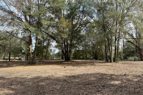 Terreno en venta en Citra, Florida № 1903377 - foto 14