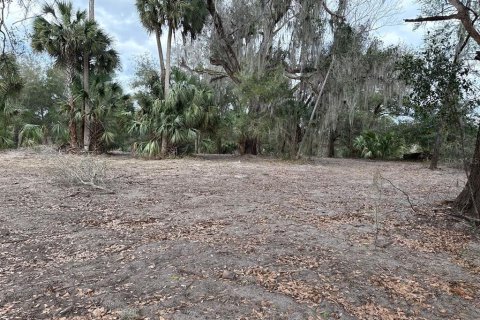 Terreno en venta en Citra, Florida № 1903377 - foto 23