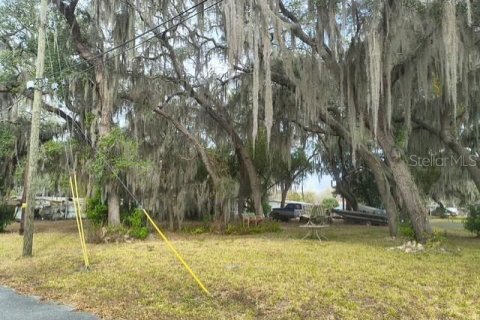 Terreno en venta en Hernando, Florida № 2212475 - foto 3