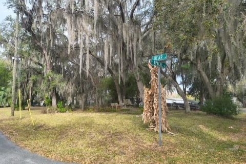 Terreno en Hernando, Florida № 2212475