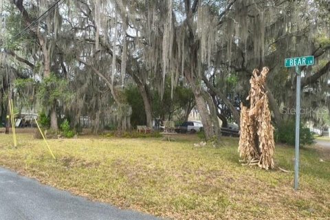 Terreno en venta en Hernando, Florida № 2212475 - foto 2