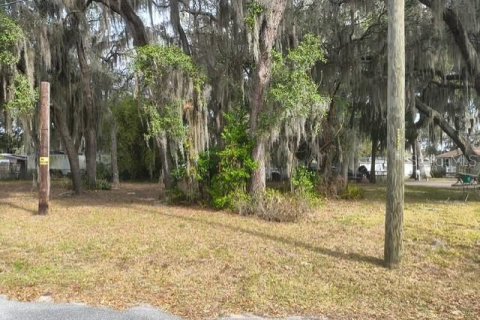 Terreno en venta en Hernando, Florida № 2212475 - foto 5