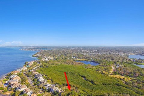 Land in Palm Harbor, Florida № 1424322 - photo 6