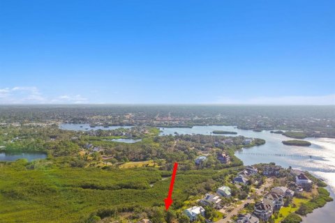 Land in Palm Harbor, Florida № 1424322 - photo 5