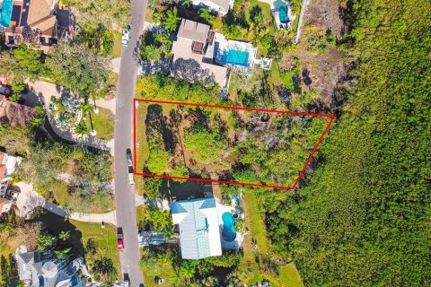 Land in Palm Harbor, Florida № 1424322 - photo 1