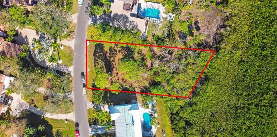 Land in Palm Harbor, Florida № 1424322