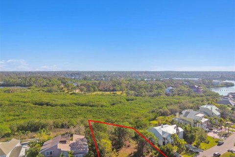 Land in Palm Harbor, Florida № 1424322 - photo 2