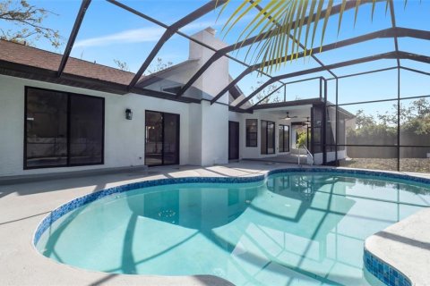 Villa ou maison à louer à Palm Harbor, Floride: 3 chambres, 180.88 m2 № 1829606 - photo 6