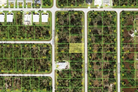 Land in Port Charlotte, Florida № 2163945