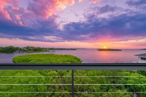 Land in Palm Harbor, Florida № 1723861 - photo 12