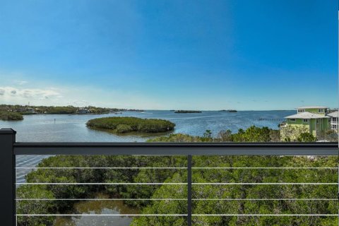 Land in Palm Harbor, Florida № 1723861 - photo 15