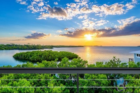 Land in Palm Harbor, Florida № 1723861 - photo 5