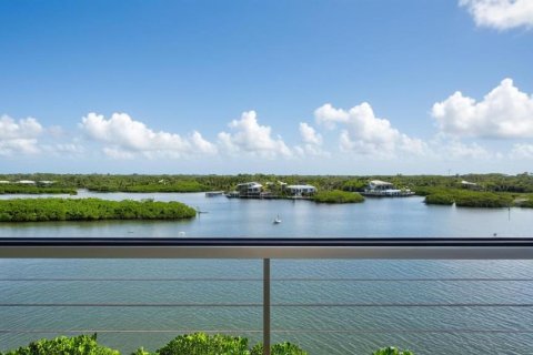 Land in Palm Harbor, Florida № 1723861 - photo 14
