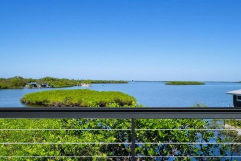 Land in Palm Harbor, Florida № 1723861 - photo 16