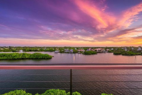 Land in Palm Harbor, Florida № 1723861 - photo 11