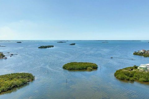 Land in Palm Harbor, Florida № 1723861 - photo 3