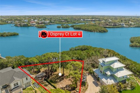Land in Palm Harbor, Florida № 1723861 - photo 2