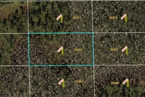 Land in Orlando, Florida № 2163559 - photo 2