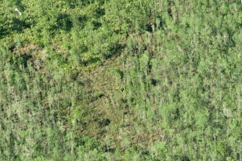 Land in Orlando, Florida № 2163559 - photo 3