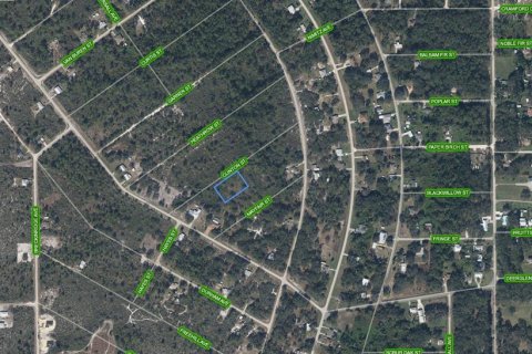 Купить земельный участок в Лейк-Плэсид, Флорида № 2165681 - фото 2