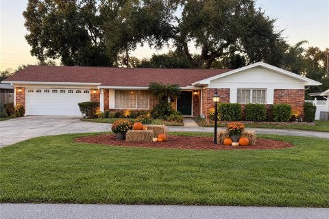 Villa ou maison à Tampa, Floride 3 chambres, 230.4 m2 № 2425565