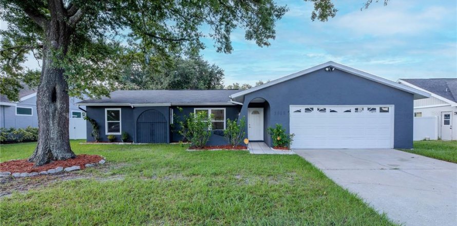 House in Tampa, Florida 3 bedrooms, 154.4 sq.m. № 1894142
