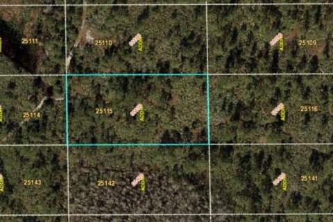 Land in Orlando, Florida № 2163603 - photo 2