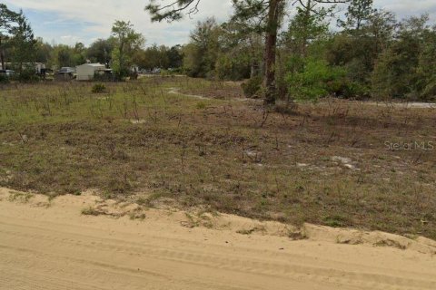 Terrain à vendre à Interlachen, Floride № 2223876 - photo 5