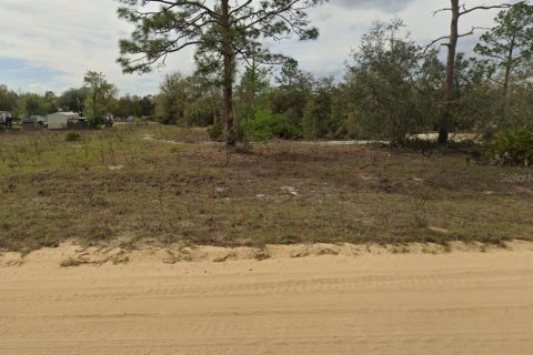 Terrain à vendre à Interlachen, Floride № 2223876 - photo 3