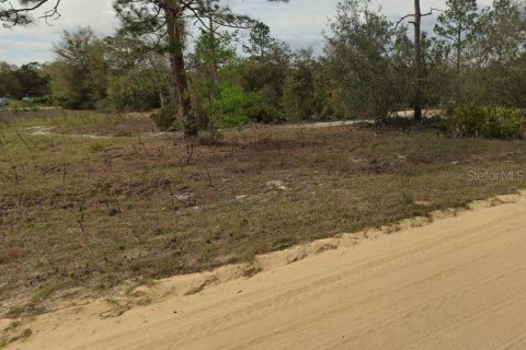 Terrain à vendre à Interlachen, Floride № 2223876 - photo 4