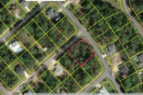 Land in Citrus Springs, Florida № 2377953 - photo 5