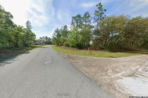 Land in Citrus Springs, Florida № 2377953
