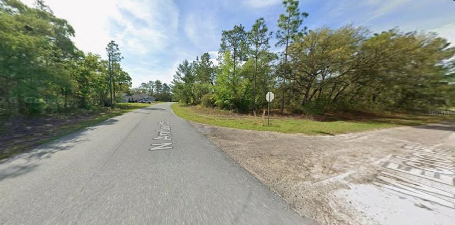 Land in Citrus Springs, Florida № 2377953