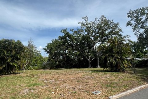 Land in Bradenton, Florida № 2120211 - photo 4