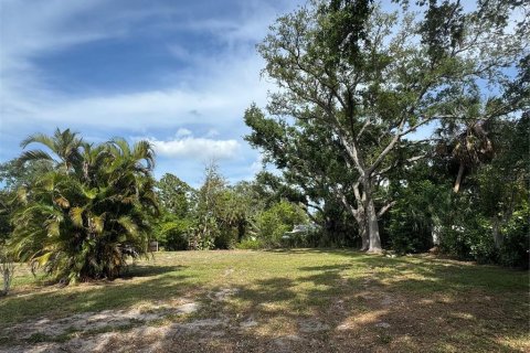 Land in Bradenton, Florida № 2120211