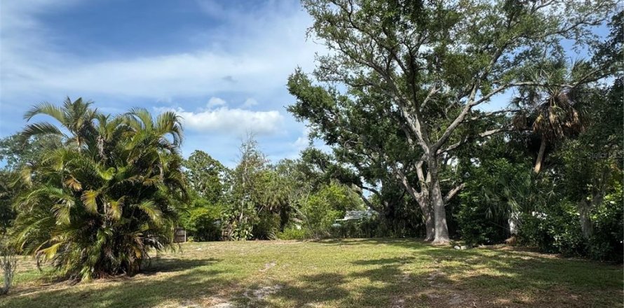 Land in Bradenton, Florida № 2120211