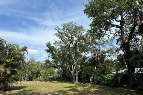 Land in Bradenton, Florida № 2120211 - photo 2