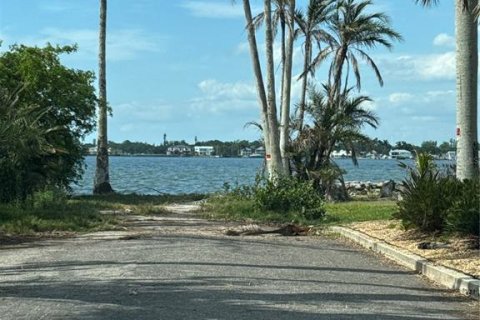 Land in Bradenton, Florida № 2120211 - photo 5