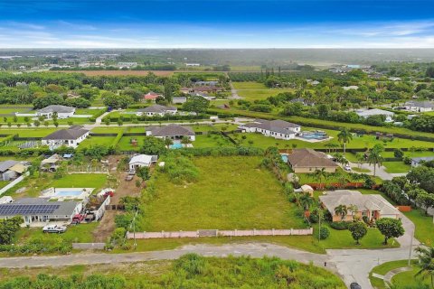 Land in Homestead, Florida № 1836801 - photo 3